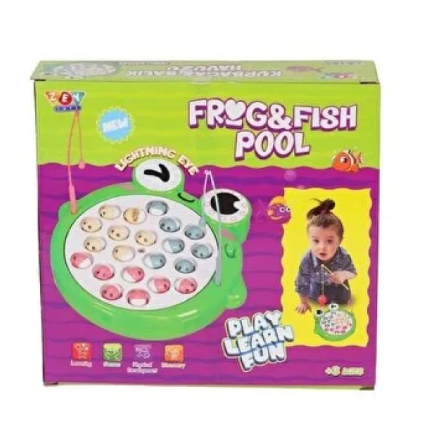 Kurbağa ve Balık Havuzu 