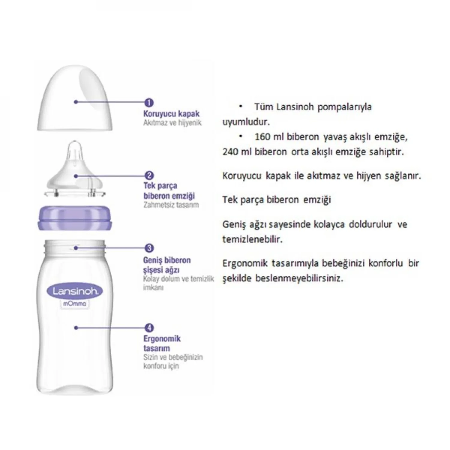 Lansinoh Cam Biberon 240 ml