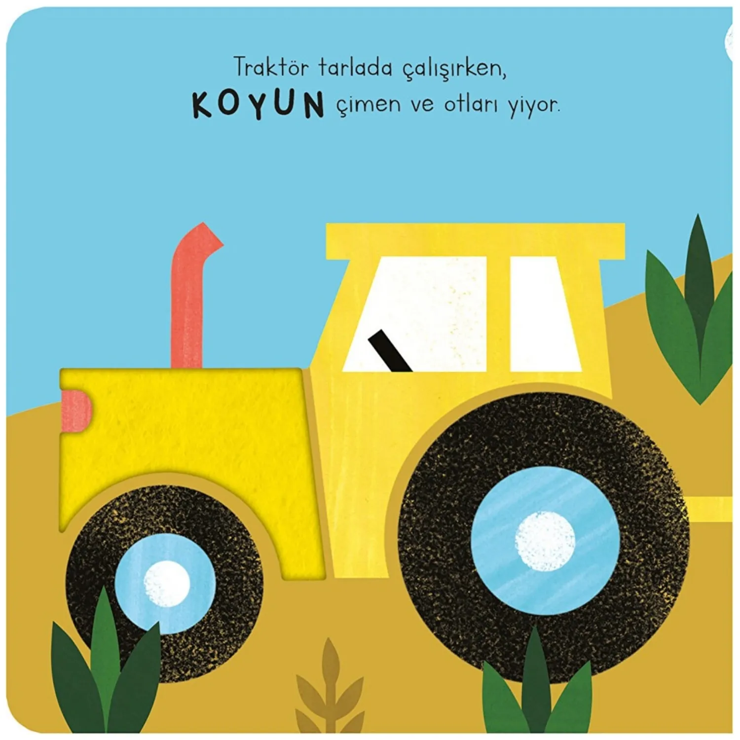 Dokun&Hisset&Bul - Çiftlik Hayvanları