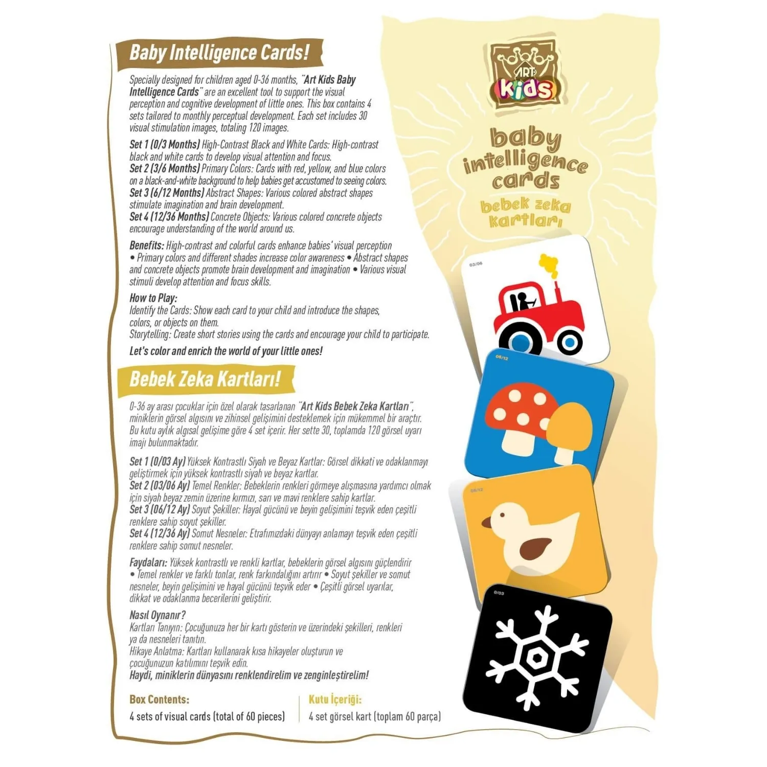 Art Kids Baby Zeka Kartları