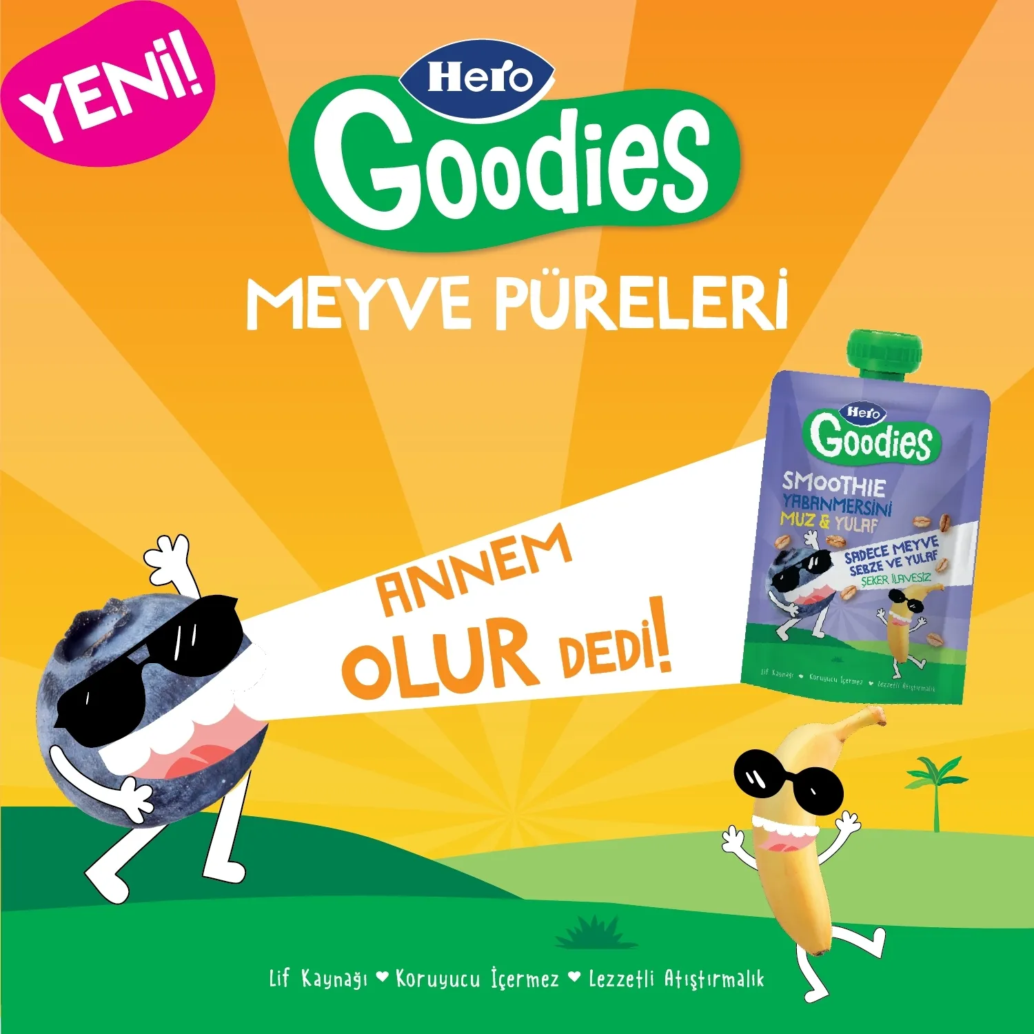 Hero Baby Goodies Yaban Mersini-Muz-Yulaf Meyve Püresi 100 gr