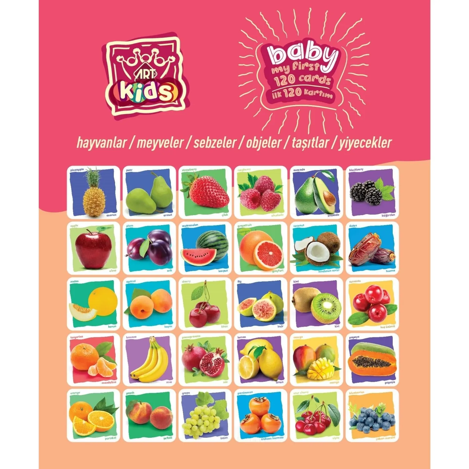 Art Kids Baby İlk Eğitici Kartlarım