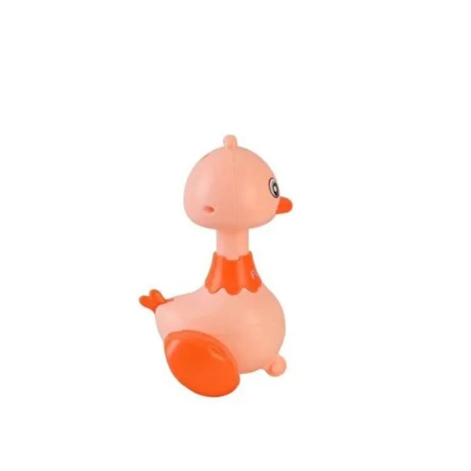 Displayde Basbırak Ördek