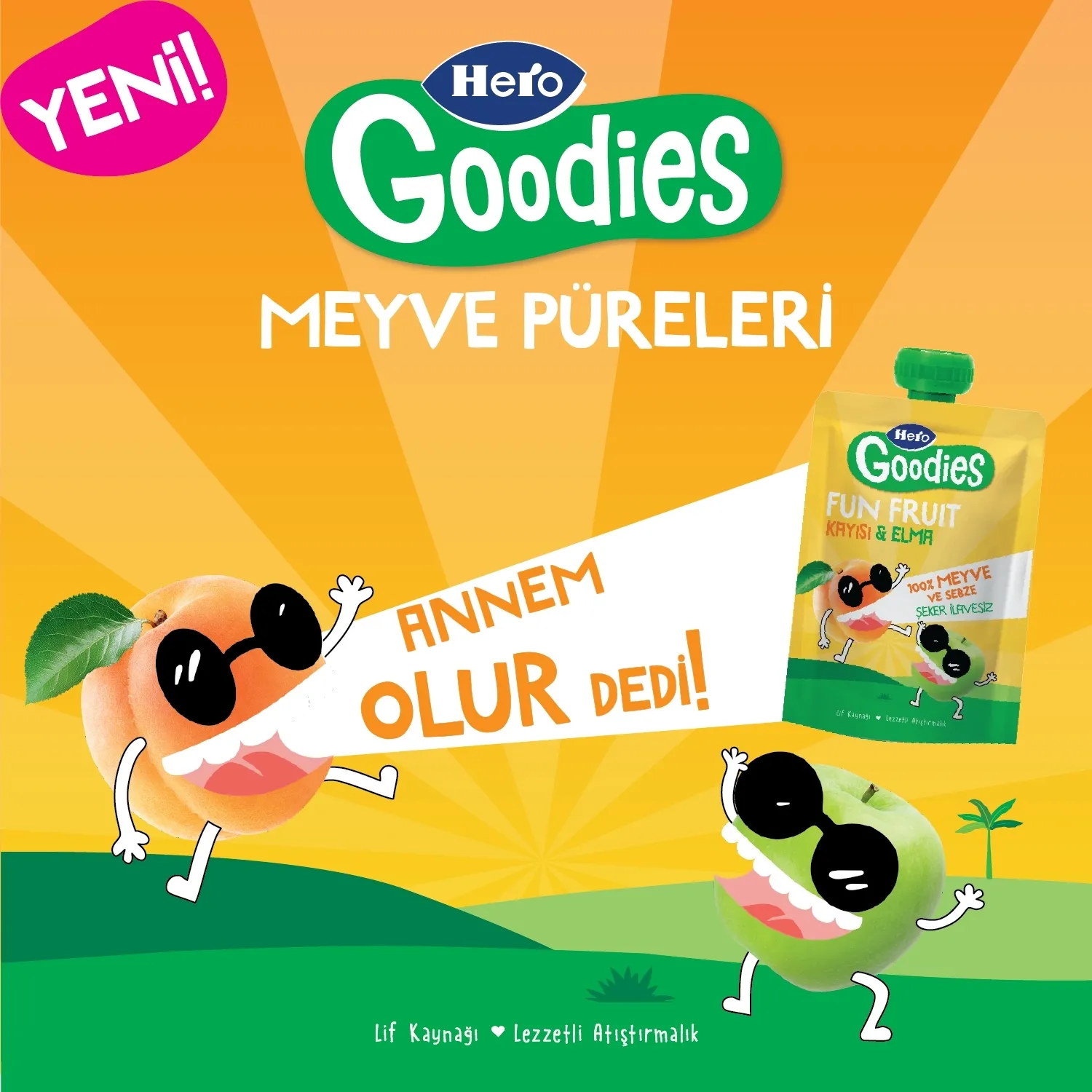 Hero Baby Goodies Kayısı-Elma Meyve Püresi 100 gr