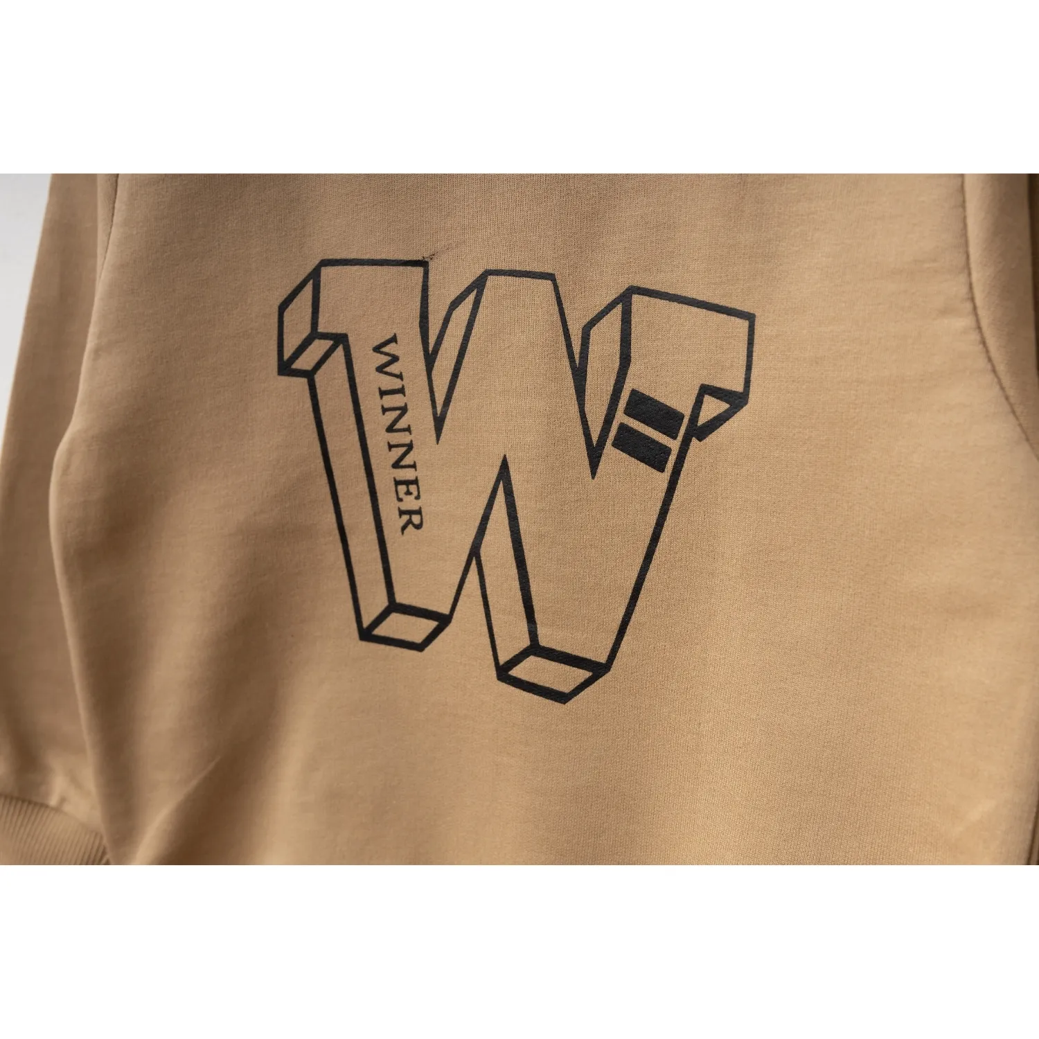 Winimo Sweatshirt W Baskılı Sütlü Kahve