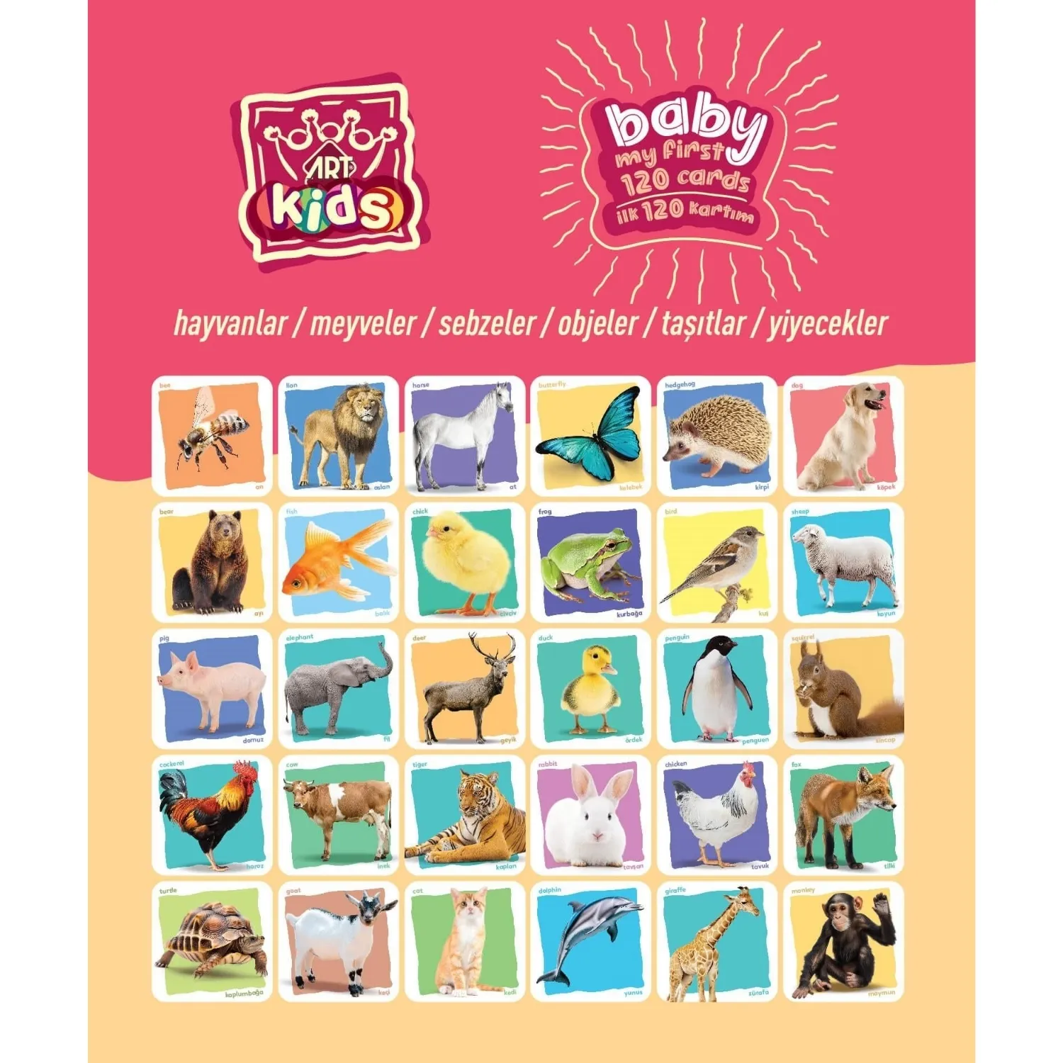Art Kids Baby İlk Eğitici Kartlarım