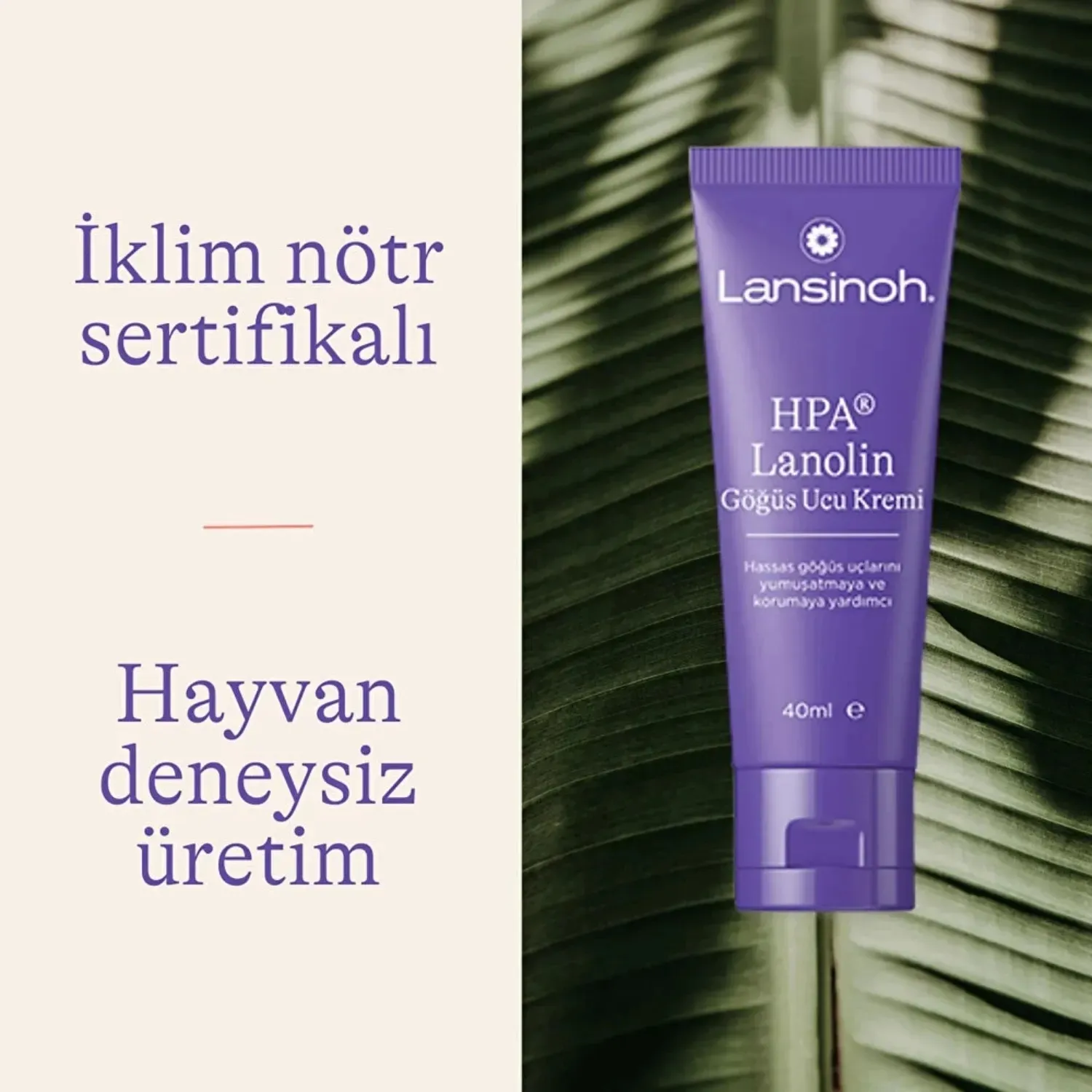 Lansinoh Lanolin Göğüs Ucu Kremi 40 ml x 3 Adet