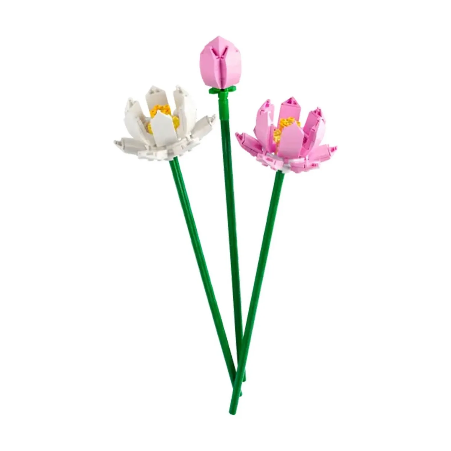 LEGO Iconic Lotus Çiçekleri 40647