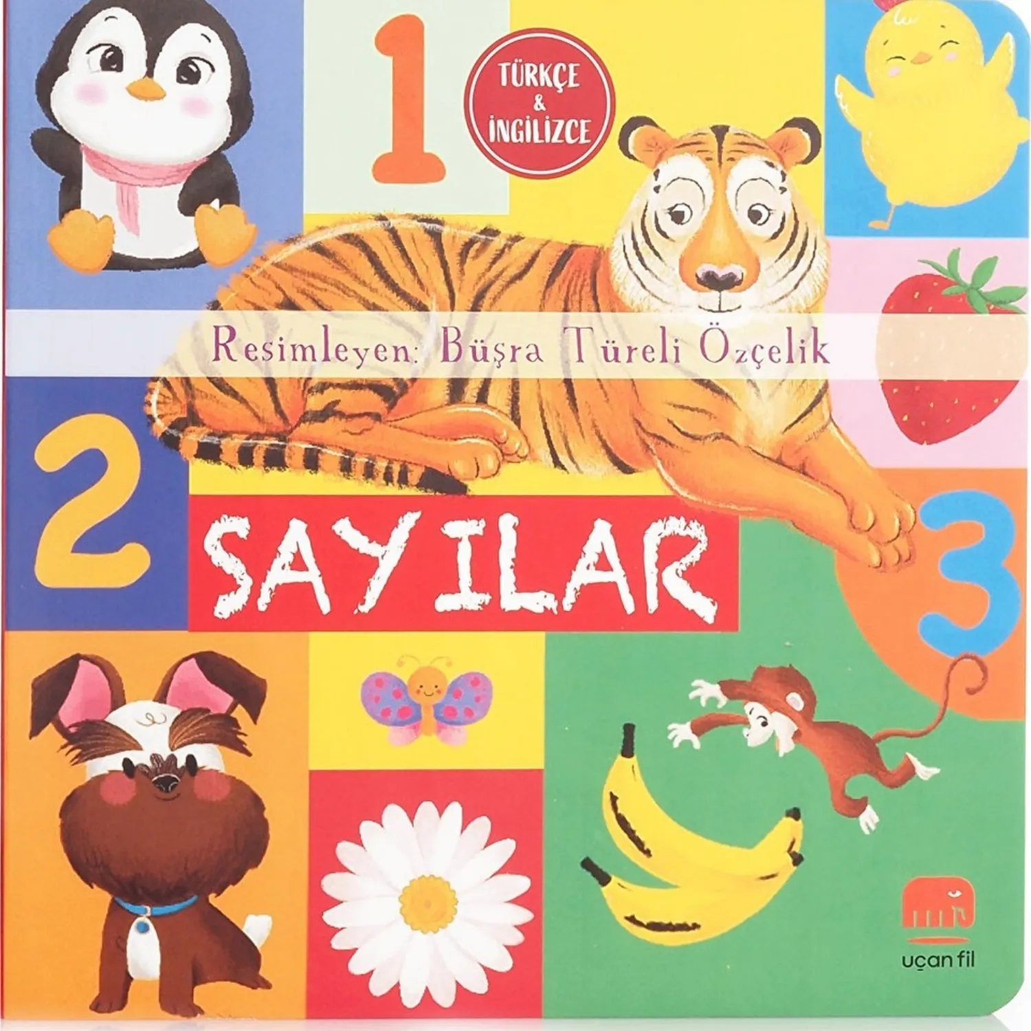 Sayılar