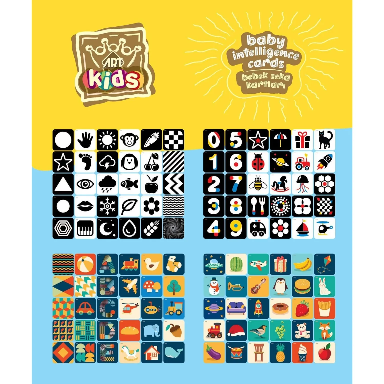 Art Kids Baby Zeka Kartları