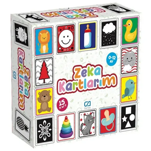 Ca Games Zeka Kartlarım
