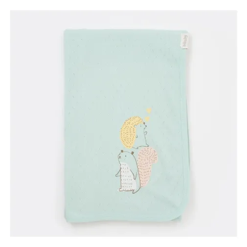 Bibaby Unisex Battaniye Fun Cute Ones Mint