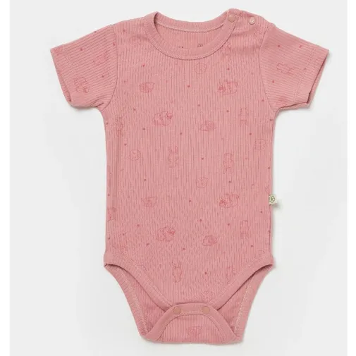 Bibaby Kız Organik Body Kısa Kol Modal Play With Me Mint - Rose